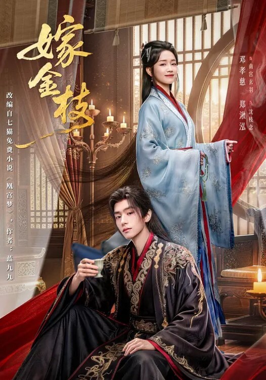 卖火柴女孩给粉丝的报恩 - 乐记影视